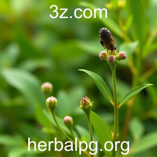 Revolução nos Jogos: Herbalpg na Vanguarda